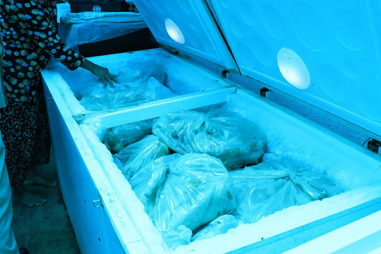 ការត្រួតពិនិត្យ