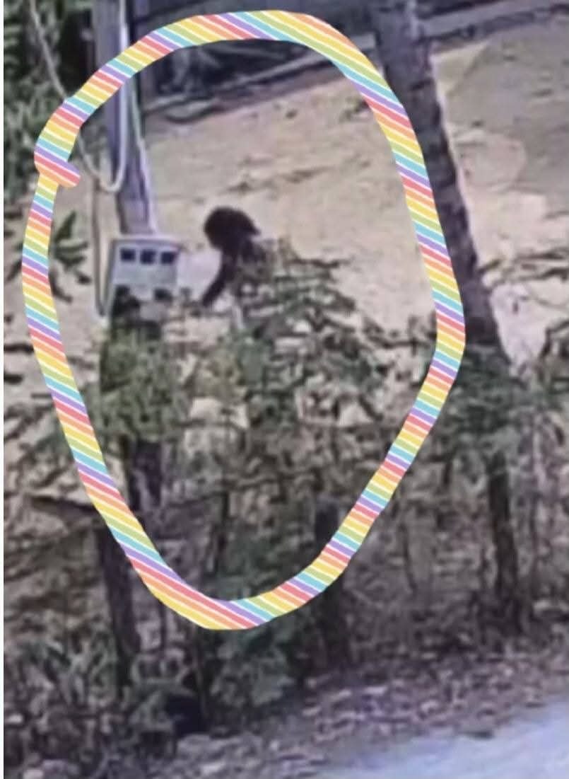 ការស្នើសុំមេធាវី